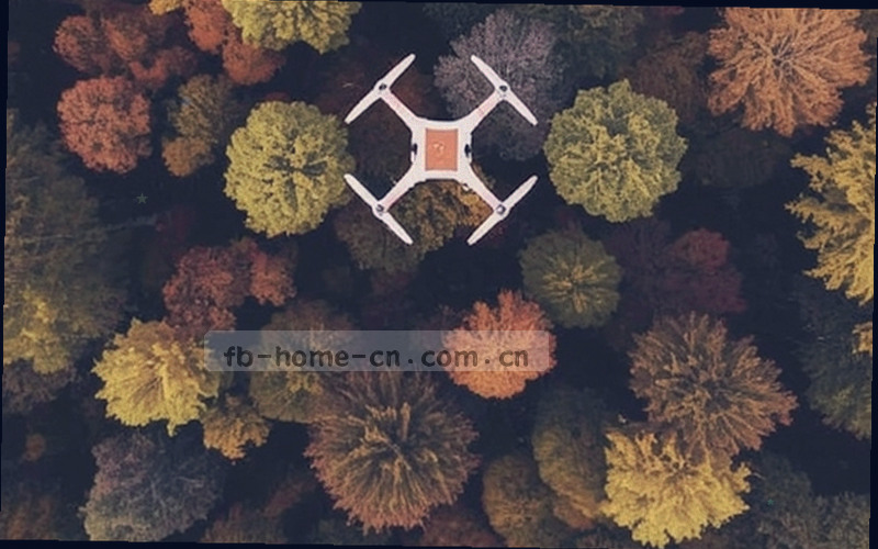 电竞比赛现场选手专注操作的画面